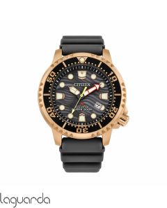 BN0163-00H | Reloj Citizen Promaster Diver's Eco Drive Gris 44 mm