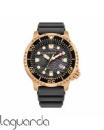 BN0163-00H | Reloj Citizen Promaster Diver's Eco Drive Gris 44 mm